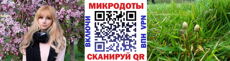Псилоцибиновые грибы MAGIC MUSHROOMS  Хилок 